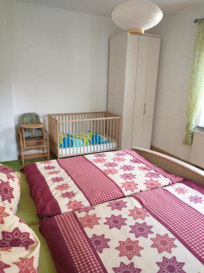 Ferienwohnung Im Erzgebirge In Gelenau Εξωτερικό φωτογραφία