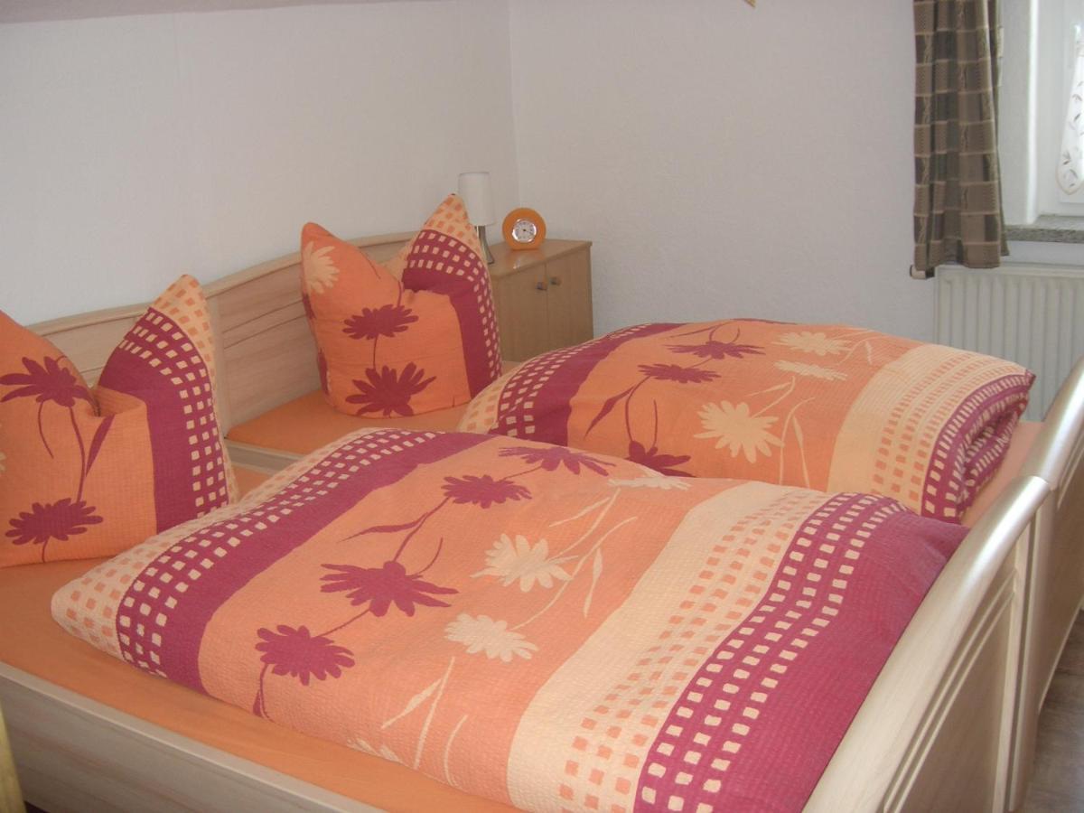 Ferienwohnung Im Erzgebirge In Gelenau Εξωτερικό φωτογραφία